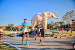 BIB: 
                            <button type="button" onclick="openModal(26186469)" class="btn btn-primary btn-sm float-right btn-popup" data-toggle="modal" data-target=".modal-high-quality">
                        <i class="fas fa-shopping-cart"></i> Add to Cart
                    </button>
                                            <button type="button" onclick="isThisMe(26186469, true)" class="btn btn-success btn-sm float-right btn-popup btn-isme hidden" data-toggle="tooltip" data-placement="bottom" title="นี่คือรูปของคุณใช่ไหม คลิกที่นี่เพื่อเอาเข้าอัลบั้ม">
                        <i class="fas fa-plus"></i> Add to album
                    </button>
                    <button type="button" onclick="isThisMe(26186469, false)" class="btn btn-warning btn-sm float-right btn-popup btn-isnotme hidden">
                        <i class="fas fa-ban"></i> Remove from album
                    </button>