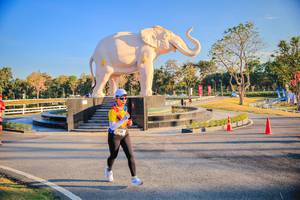 BIB: 
                            <button type="button" onclick="openModal(26186629)" class="btn btn-primary btn-sm float-right btn-popup" data-toggle="modal" data-target=".modal-high-quality">
                        <i class="fas fa-shopping-cart"></i> Add to Cart
                    </button>
                                            <button type="button" onclick="isThisMe(26186629, true)" class="btn btn-success btn-sm float-right btn-popup btn-isme hidden" data-toggle="tooltip" data-placement="bottom" title="นี่คือรูปของคุณใช่ไหม คลิกที่นี่เพื่อเอาเข้าอัลบั้ม">
                        <i class="fas fa-plus"></i> Add to album
                    </button>
                    <button type="button" onclick="isThisMe(26186629, false)" class="btn btn-warning btn-sm float-right btn-popup btn-isnotme hidden">
                        <i class="fas fa-ban"></i> Remove from album
                    </button>