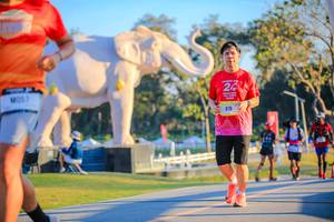 BIB: 
                            <button type="button" onclick="openModal(26183772)" class="btn btn-primary btn-sm float-right btn-popup" data-toggle="modal" data-target=".modal-high-quality">
                        <i class="fas fa-shopping-cart"></i> Add to Cart
                    </button>
                                            <button type="button" onclick="isThisMe(26183772, true)" class="btn btn-success btn-sm float-right btn-popup btn-isme hidden" data-toggle="tooltip" data-placement="bottom" title="นี่คือรูปของคุณใช่ไหม คลิกที่นี่เพื่อเอาเข้าอัลบั้ม">
                        <i class="fas fa-plus"></i> Add to album
                    </button>
                    <button type="button" onclick="isThisMe(26183772, false)" class="btn btn-warning btn-sm float-right btn-popup btn-isnotme hidden">
                        <i class="fas fa-ban"></i> Remove from album
                    </button>