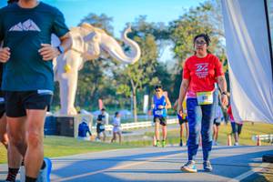 BIB: 
                            <button type="button" onclick="openModal(26183649)" class="btn btn-primary btn-sm float-right btn-popup" data-toggle="modal" data-target=".modal-high-quality">
                        <i class="fas fa-shopping-cart"></i> Add to Cart
                    </button>
                                            <button type="button" onclick="isThisMe(26183649, true)" class="btn btn-success btn-sm float-right btn-popup btn-isme hidden" data-toggle="tooltip" data-placement="bottom" title="นี่คือรูปของคุณใช่ไหม คลิกที่นี่เพื่อเอาเข้าอัลบั้ม">
                        <i class="fas fa-plus"></i> Add to album
                    </button>
                    <button type="button" onclick="isThisMe(26183649, false)" class="btn btn-warning btn-sm float-right btn-popup btn-isnotme hidden">
                        <i class="fas fa-ban"></i> Remove from album
                    </button>