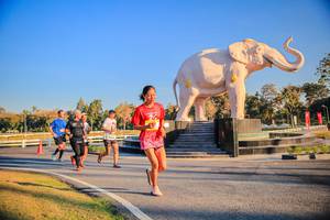 BIB: 
                            <button type="button" onclick="openModal(26186459)" class="btn btn-primary btn-sm float-right btn-popup" data-toggle="modal" data-target=".modal-high-quality">
                        <i class="fas fa-shopping-cart"></i> Add to Cart
                    </button>
                                            <button type="button" onclick="isThisMe(26186459, true)" class="btn btn-success btn-sm float-right btn-popup btn-isme hidden" data-toggle="tooltip" data-placement="bottom" title="นี่คือรูปของคุณใช่ไหม คลิกที่นี่เพื่อเอาเข้าอัลบั้ม">
                        <i class="fas fa-plus"></i> Add to album
                    </button>
                    <button type="button" onclick="isThisMe(26186459, false)" class="btn btn-warning btn-sm float-right btn-popup btn-isnotme hidden">
                        <i class="fas fa-ban"></i> Remove from album
                    </button>