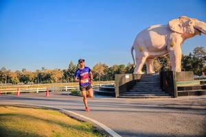 BIB: 
                            <button type="button" onclick="openModal(26186384)" class="btn btn-primary btn-sm float-right btn-popup" data-toggle="modal" data-target=".modal-high-quality">
                        <i class="fas fa-shopping-cart"></i> Add to Cart
                    </button>
                                            <button type="button" onclick="isThisMe(26186384, true)" class="btn btn-success btn-sm float-right btn-popup btn-isme hidden" data-toggle="tooltip" data-placement="bottom" title="นี่คือรูปของคุณใช่ไหม คลิกที่นี่เพื่อเอาเข้าอัลบั้ม">
                        <i class="fas fa-plus"></i> Add to album
                    </button>
                    <button type="button" onclick="isThisMe(26186384, false)" class="btn btn-warning btn-sm float-right btn-popup btn-isnotme hidden">
                        <i class="fas fa-ban"></i> Remove from album
                    </button>