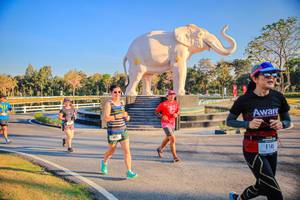 BIB: 
                            <button type="button" onclick="openModal(26186580)" class="btn btn-primary btn-sm float-right btn-popup" data-toggle="modal" data-target=".modal-high-quality">
                        <i class="fas fa-shopping-cart"></i> Add to Cart
                    </button>
                                            <button type="button" onclick="isThisMe(26186580, true)" class="btn btn-success btn-sm float-right btn-popup btn-isme hidden" data-toggle="tooltip" data-placement="bottom" title="นี่คือรูปของคุณใช่ไหม คลิกที่นี่เพื่อเอาเข้าอัลบั้ม">
                        <i class="fas fa-plus"></i> Add to album
                    </button>
                    <button type="button" onclick="isThisMe(26186580, false)" class="btn btn-warning btn-sm float-right btn-popup btn-isnotme hidden">
                        <i class="fas fa-ban"></i> Remove from album
                    </button>