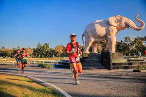 BIB: 
                            <button type="button" onclick="openModal(26186376)" class="btn btn-primary btn-sm float-right btn-popup" data-toggle="modal" data-target=".modal-high-quality">
                        <i class="fas fa-shopping-cart"></i> Add to Cart
                    </button>
                                            <button type="button" onclick="isThisMe(26186376, true)" class="btn btn-success btn-sm float-right btn-popup btn-isme hidden" data-toggle="tooltip" data-placement="bottom" title="นี่คือรูปของคุณใช่ไหม คลิกที่นี่เพื่อเอาเข้าอัลบั้ม">
                        <i class="fas fa-plus"></i> Add to album
                    </button>
                    <button type="button" onclick="isThisMe(26186376, false)" class="btn btn-warning btn-sm float-right btn-popup btn-isnotme hidden">
                        <i class="fas fa-ban"></i> Remove from album
                    </button>