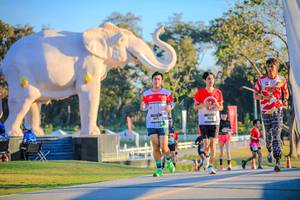 BIB: 
                            <button type="button" onclick="openModal(26183700)" class="btn btn-primary btn-sm float-right btn-popup" data-toggle="modal" data-target=".modal-high-quality">
                        <i class="fas fa-shopping-cart"></i> Add to Cart
                    </button>
                                            <button type="button" onclick="isThisMe(26183700, true)" class="btn btn-success btn-sm float-right btn-popup btn-isme hidden" data-toggle="tooltip" data-placement="bottom" title="นี่คือรูปของคุณใช่ไหม คลิกที่นี่เพื่อเอาเข้าอัลบั้ม">
                        <i class="fas fa-plus"></i> Add to album
                    </button>
                    <button type="button" onclick="isThisMe(26183700, false)" class="btn btn-warning btn-sm float-right btn-popup btn-isnotme hidden">
                        <i class="fas fa-ban"></i> Remove from album
                    </button>