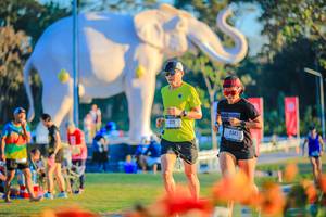 BIB: 
                            <button type="button" onclick="openModal(26183998)" class="btn btn-primary btn-sm float-right btn-popup" data-toggle="modal" data-target=".modal-high-quality">
                        <i class="fas fa-shopping-cart"></i> Add to Cart
                    </button>
                                            <button type="button" onclick="isThisMe(26183998, true)" class="btn btn-success btn-sm float-right btn-popup btn-isme hidden" data-toggle="tooltip" data-placement="bottom" title="นี่คือรูปของคุณใช่ไหม คลิกที่นี่เพื่อเอาเข้าอัลบั้ม">
                        <i class="fas fa-plus"></i> Add to album
                    </button>
                    <button type="button" onclick="isThisMe(26183998, false)" class="btn btn-warning btn-sm float-right btn-popup btn-isnotme hidden">
                        <i class="fas fa-ban"></i> Remove from album
                    </button>