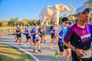 BIB: 
                            <button type="button" onclick="openModal(26186513)" class="btn btn-primary btn-sm float-right btn-popup" data-toggle="modal" data-target=".modal-high-quality">
                        <i class="fas fa-shopping-cart"></i> Add to Cart
                    </button>
                                            <button type="button" onclick="isThisMe(26186513, true)" class="btn btn-success btn-sm float-right btn-popup btn-isme hidden" data-toggle="tooltip" data-placement="bottom" title="นี่คือรูปของคุณใช่ไหม คลิกที่นี่เพื่อเอาเข้าอัลบั้ม">
                        <i class="fas fa-plus"></i> Add to album
                    </button>
                    <button type="button" onclick="isThisMe(26186513, false)" class="btn btn-warning btn-sm float-right btn-popup btn-isnotme hidden">
                        <i class="fas fa-ban"></i> Remove from album
                    </button>