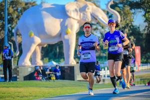 BIB: 
                            <button type="button" onclick="openModal(26183606)" class="btn btn-primary btn-sm float-right btn-popup" data-toggle="modal" data-target=".modal-high-quality">
                        <i class="fas fa-shopping-cart"></i> Add to Cart
                    </button>
                                            <button type="button" onclick="isThisMe(26183606, true)" class="btn btn-success btn-sm float-right btn-popup btn-isme hidden" data-toggle="tooltip" data-placement="bottom" title="นี่คือรูปของคุณใช่ไหม คลิกที่นี่เพื่อเอาเข้าอัลบั้ม">
                        <i class="fas fa-plus"></i> Add to album
                    </button>
                    <button type="button" onclick="isThisMe(26183606, false)" class="btn btn-warning btn-sm float-right btn-popup btn-isnotme hidden">
                        <i class="fas fa-ban"></i> Remove from album
                    </button>