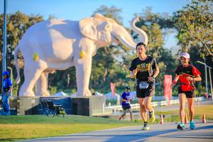 BIB: 
                            <button type="button" onclick="openModal(26183485)" class="btn btn-primary btn-sm float-right btn-popup" data-toggle="modal" data-target=".modal-high-quality">
                        <i class="fas fa-shopping-cart"></i> Add to Cart
                    </button>
                                            <button type="button" onclick="isThisMe(26183485, true)" class="btn btn-success btn-sm float-right btn-popup btn-isme hidden" data-toggle="tooltip" data-placement="bottom" title="นี่คือรูปของคุณใช่ไหม คลิกที่นี่เพื่อเอาเข้าอัลบั้ม">
                        <i class="fas fa-plus"></i> Add to album
                    </button>
                    <button type="button" onclick="isThisMe(26183485, false)" class="btn btn-warning btn-sm float-right btn-popup btn-isnotme hidden">
                        <i class="fas fa-ban"></i> Remove from album
                    </button>