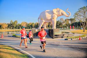 BIB: 
                            <button type="button" onclick="openModal(26186596)" class="btn btn-primary btn-sm float-right btn-popup" data-toggle="modal" data-target=".modal-high-quality">
                        <i class="fas fa-shopping-cart"></i> Add to Cart
                    </button>
                                            <button type="button" onclick="isThisMe(26186596, true)" class="btn btn-success btn-sm float-right btn-popup btn-isme hidden" data-toggle="tooltip" data-placement="bottom" title="นี่คือรูปของคุณใช่ไหม คลิกที่นี่เพื่อเอาเข้าอัลบั้ม">
                        <i class="fas fa-plus"></i> Add to album
                    </button>
                    <button type="button" onclick="isThisMe(26186596, false)" class="btn btn-warning btn-sm float-right btn-popup btn-isnotme hidden">
                        <i class="fas fa-ban"></i> Remove from album
                    </button>