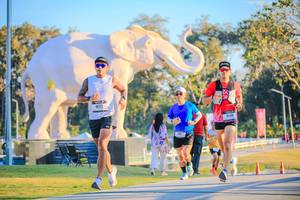 BIB: 
                            <button type="button" onclick="openModal(26183455)" class="btn btn-primary btn-sm float-right btn-popup" data-toggle="modal" data-target=".modal-high-quality">
                        <i class="fas fa-shopping-cart"></i> Add to Cart
                    </button>
                                            <button type="button" onclick="isThisMe(26183455, true)" class="btn btn-success btn-sm float-right btn-popup btn-isme hidden" data-toggle="tooltip" data-placement="bottom" title="นี่คือรูปของคุณใช่ไหม คลิกที่นี่เพื่อเอาเข้าอัลบั้ม">
                        <i class="fas fa-plus"></i> Add to album
                    </button>
                    <button type="button" onclick="isThisMe(26183455, false)" class="btn btn-warning btn-sm float-right btn-popup btn-isnotme hidden">
                        <i class="fas fa-ban"></i> Remove from album
                    </button>