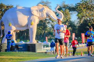 BIB: 
                            <button type="button" onclick="openModal(26183683)" class="btn btn-primary btn-sm float-right btn-popup" data-toggle="modal" data-target=".modal-high-quality">
                        <i class="fas fa-shopping-cart"></i> Add to Cart
                    </button>
                                            <button type="button" onclick="isThisMe(26183683, true)" class="btn btn-success btn-sm float-right btn-popup btn-isme hidden" data-toggle="tooltip" data-placement="bottom" title="นี่คือรูปของคุณใช่ไหม คลิกที่นี่เพื่อเอาเข้าอัลบั้ม">
                        <i class="fas fa-plus"></i> Add to album
                    </button>
                    <button type="button" onclick="isThisMe(26183683, false)" class="btn btn-warning btn-sm float-right btn-popup btn-isnotme hidden">
                        <i class="fas fa-ban"></i> Remove from album
                    </button>