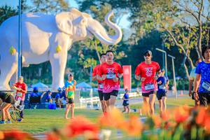 BIB: 
                            <button type="button" onclick="openModal(26184009)" class="btn btn-primary btn-sm float-right btn-popup" data-toggle="modal" data-target=".modal-high-quality">
                        <i class="fas fa-shopping-cart"></i> Add to Cart
                    </button>
                                            <button type="button" onclick="isThisMe(26184009, true)" class="btn btn-success btn-sm float-right btn-popup btn-isme hidden" data-toggle="tooltip" data-placement="bottom" title="นี่คือรูปของคุณใช่ไหม คลิกที่นี่เพื่อเอาเข้าอัลบั้ม">
                        <i class="fas fa-plus"></i> Add to album
                    </button>
                    <button type="button" onclick="isThisMe(26184009, false)" class="btn btn-warning btn-sm float-right btn-popup btn-isnotme hidden">
                        <i class="fas fa-ban"></i> Remove from album
                    </button>