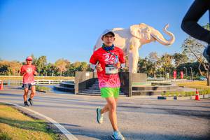 BIB: 
                            <button type="button" onclick="openModal(26186439)" class="btn btn-primary btn-sm float-right btn-popup" data-toggle="modal" data-target=".modal-high-quality">
                        <i class="fas fa-shopping-cart"></i> Add to Cart
                    </button>
                                            <button type="button" onclick="isThisMe(26186439, true)" class="btn btn-success btn-sm float-right btn-popup btn-isme hidden" data-toggle="tooltip" data-placement="bottom" title="นี่คือรูปของคุณใช่ไหม คลิกที่นี่เพื่อเอาเข้าอัลบั้ม">
                        <i class="fas fa-plus"></i> Add to album
                    </button>
                    <button type="button" onclick="isThisMe(26186439, false)" class="btn btn-warning btn-sm float-right btn-popup btn-isnotme hidden">
                        <i class="fas fa-ban"></i> Remove from album
                    </button>