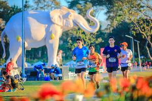 BIB: 
                            <button type="button" onclick="openModal(26183976)" class="btn btn-primary btn-sm float-right btn-popup" data-toggle="modal" data-target=".modal-high-quality">
                        <i class="fas fa-shopping-cart"></i> Add to Cart
                    </button>
                                            <button type="button" onclick="isThisMe(26183976, true)" class="btn btn-success btn-sm float-right btn-popup btn-isme hidden" data-toggle="tooltip" data-placement="bottom" title="นี่คือรูปของคุณใช่ไหม คลิกที่นี่เพื่อเอาเข้าอัลบั้ม">
                        <i class="fas fa-plus"></i> Add to album
                    </button>
                    <button type="button" onclick="isThisMe(26183976, false)" class="btn btn-warning btn-sm float-right btn-popup btn-isnotme hidden">
                        <i class="fas fa-ban"></i> Remove from album
                    </button>