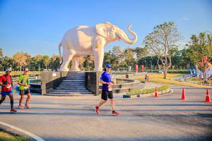 BIB: 
                            <button type="button" onclick="openModal(26186616)" class="btn btn-primary btn-sm float-right btn-popup" data-toggle="modal" data-target=".modal-high-quality">
                        <i class="fas fa-shopping-cart"></i> Add to Cart
                    </button>
                                            <button type="button" onclick="isThisMe(26186616, true)" class="btn btn-success btn-sm float-right btn-popup btn-isme hidden" data-toggle="tooltip" data-placement="bottom" title="นี่คือรูปของคุณใช่ไหม คลิกที่นี่เพื่อเอาเข้าอัลบั้ม">
                        <i class="fas fa-plus"></i> Add to album
                    </button>
                    <button type="button" onclick="isThisMe(26186616, false)" class="btn btn-warning btn-sm float-right btn-popup btn-isnotme hidden">
                        <i class="fas fa-ban"></i> Remove from album
                    </button>