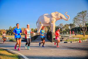 BIB: 
                            <button type="button" onclick="openModal(26186483)" class="btn btn-primary btn-sm float-right btn-popup" data-toggle="modal" data-target=".modal-high-quality">
                        <i class="fas fa-shopping-cart"></i> Add to Cart
                    </button>
                                            <button type="button" onclick="isThisMe(26186483, true)" class="btn btn-success btn-sm float-right btn-popup btn-isme hidden" data-toggle="tooltip" data-placement="bottom" title="นี่คือรูปของคุณใช่ไหม คลิกที่นี่เพื่อเอาเข้าอัลบั้ม">
                        <i class="fas fa-plus"></i> Add to album
                    </button>
                    <button type="button" onclick="isThisMe(26186483, false)" class="btn btn-warning btn-sm float-right btn-popup btn-isnotme hidden">
                        <i class="fas fa-ban"></i> Remove from album
                    </button>