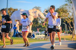 BIB: 
                            <button type="button" onclick="openModal(26183661)" class="btn btn-primary btn-sm float-right btn-popup" data-toggle="modal" data-target=".modal-high-quality">
                        <i class="fas fa-shopping-cart"></i> Add to Cart
                    </button>
                                            <button type="button" onclick="isThisMe(26183661, true)" class="btn btn-success btn-sm float-right btn-popup btn-isme hidden" data-toggle="tooltip" data-placement="bottom" title="นี่คือรูปของคุณใช่ไหม คลิกที่นี่เพื่อเอาเข้าอัลบั้ม">
                        <i class="fas fa-plus"></i> Add to album
                    </button>
                    <button type="button" onclick="isThisMe(26183661, false)" class="btn btn-warning btn-sm float-right btn-popup btn-isnotme hidden">
                        <i class="fas fa-ban"></i> Remove from album
                    </button>