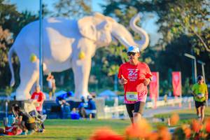 BIB: 
                            <button type="button" onclick="openModal(26183996)" class="btn btn-primary btn-sm float-right btn-popup" data-toggle="modal" data-target=".modal-high-quality">
                        <i class="fas fa-shopping-cart"></i> Add to Cart
                    </button>
                                            <button type="button" onclick="isThisMe(26183996, true)" class="btn btn-success btn-sm float-right btn-popup btn-isme hidden" data-toggle="tooltip" data-placement="bottom" title="นี่คือรูปของคุณใช่ไหม คลิกที่นี่เพื่อเอาเข้าอัลบั้ม">
                        <i class="fas fa-plus"></i> Add to album
                    </button>
                    <button type="button" onclick="isThisMe(26183996, false)" class="btn btn-warning btn-sm float-right btn-popup btn-isnotme hidden">
                        <i class="fas fa-ban"></i> Remove from album
                    </button>