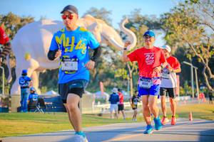 BIB: 
                            <button type="button" onclick="openModal(26183692)" class="btn btn-primary btn-sm float-right btn-popup" data-toggle="modal" data-target=".modal-high-quality">
                        <i class="fas fa-shopping-cart"></i> Add to Cart
                    </button>
                                            <button type="button" onclick="isThisMe(26183692, true)" class="btn btn-success btn-sm float-right btn-popup btn-isme hidden" data-toggle="tooltip" data-placement="bottom" title="นี่คือรูปของคุณใช่ไหม คลิกที่นี่เพื่อเอาเข้าอัลบั้ม">
                        <i class="fas fa-plus"></i> Add to album
                    </button>
                    <button type="button" onclick="isThisMe(26183692, false)" class="btn btn-warning btn-sm float-right btn-popup btn-isnotme hidden">
                        <i class="fas fa-ban"></i> Remove from album
                    </button>