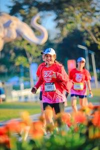 BIB: 
                            <button type="button" onclick="openModal(26183900)" class="btn btn-primary btn-sm float-right btn-popup" data-toggle="modal" data-target=".modal-high-quality">
                        <i class="fas fa-shopping-cart"></i> Add to Cart
                    </button>
                                            <button type="button" onclick="isThisMe(26183900, true)" class="btn btn-success btn-sm float-right btn-popup btn-isme hidden" data-toggle="tooltip" data-placement="bottom" title="นี่คือรูปของคุณใช่ไหม คลิกที่นี่เพื่อเอาเข้าอัลบั้ม">
                        <i class="fas fa-plus"></i> Add to album
                    </button>
                    <button type="button" onclick="isThisMe(26183900, false)" class="btn btn-warning btn-sm float-right btn-popup btn-isnotme hidden">
                        <i class="fas fa-ban"></i> Remove from album
                    </button>