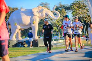 BIB: 
                            <button type="button" onclick="openModal(26183624)" class="btn btn-primary btn-sm float-right btn-popup" data-toggle="modal" data-target=".modal-high-quality">
                        <i class="fas fa-shopping-cart"></i> Add to Cart
                    </button>
                                            <button type="button" onclick="isThisMe(26183624, true)" class="btn btn-success btn-sm float-right btn-popup btn-isme hidden" data-toggle="tooltip" data-placement="bottom" title="นี่คือรูปของคุณใช่ไหม คลิกที่นี่เพื่อเอาเข้าอัลบั้ม">
                        <i class="fas fa-plus"></i> Add to album
                    </button>
                    <button type="button" onclick="isThisMe(26183624, false)" class="btn btn-warning btn-sm float-right btn-popup btn-isnotme hidden">
                        <i class="fas fa-ban"></i> Remove from album
                    </button>