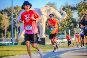 BIB: 
                            <button type="button" onclick="openModal(26183575)" class="btn btn-primary btn-sm float-right btn-popup" data-toggle="modal" data-target=".modal-high-quality">
                        <i class="fas fa-shopping-cart"></i> Add to Cart
                    </button>
                                            <button type="button" onclick="isThisMe(26183575, true)" class="btn btn-success btn-sm float-right btn-popup btn-isme hidden" data-toggle="tooltip" data-placement="bottom" title="นี่คือรูปของคุณใช่ไหม คลิกที่นี่เพื่อเอาเข้าอัลบั้ม">
                        <i class="fas fa-plus"></i> Add to album
                    </button>
                    <button type="button" onclick="isThisMe(26183575, false)" class="btn btn-warning btn-sm float-right btn-popup btn-isnotme hidden">
                        <i class="fas fa-ban"></i> Remove from album
                    </button>