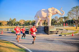 BIB: 
                            <button type="button" onclick="openModal(26186595)" class="btn btn-primary btn-sm float-right btn-popup" data-toggle="modal" data-target=".modal-high-quality">
                        <i class="fas fa-shopping-cart"></i> Add to Cart
                    </button>
                                            <button type="button" onclick="isThisMe(26186595, true)" class="btn btn-success btn-sm float-right btn-popup btn-isme hidden" data-toggle="tooltip" data-placement="bottom" title="นี่คือรูปของคุณใช่ไหม คลิกที่นี่เพื่อเอาเข้าอัลบั้ม">
                        <i class="fas fa-plus"></i> Add to album
                    </button>
                    <button type="button" onclick="isThisMe(26186595, false)" class="btn btn-warning btn-sm float-right btn-popup btn-isnotme hidden">
                        <i class="fas fa-ban"></i> Remove from album
                    </button>