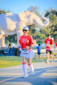 BIB: 
                            <button type="button" onclick="openModal(26183385)" class="btn btn-primary btn-sm float-right btn-popup" data-toggle="modal" data-target=".modal-high-quality">
                        <i class="fas fa-shopping-cart"></i> Add to Cart
                    </button>
                                            <button type="button" onclick="isThisMe(26183385, true)" class="btn btn-success btn-sm float-right btn-popup btn-isme hidden" data-toggle="tooltip" data-placement="bottom" title="นี่คือรูปของคุณใช่ไหม คลิกที่นี่เพื่อเอาเข้าอัลบั้ม">
                        <i class="fas fa-plus"></i> Add to album
                    </button>
                    <button type="button" onclick="isThisMe(26183385, false)" class="btn btn-warning btn-sm float-right btn-popup btn-isnotme hidden">
                        <i class="fas fa-ban"></i> Remove from album
                    </button>