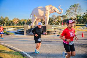 BIB: 
                            <button type="button" onclick="openModal(26186559)" class="btn btn-primary btn-sm float-right btn-popup" data-toggle="modal" data-target=".modal-high-quality">
                        <i class="fas fa-shopping-cart"></i> Add to Cart
                    </button>
                                            <button type="button" onclick="isThisMe(26186559, true)" class="btn btn-success btn-sm float-right btn-popup btn-isme hidden" data-toggle="tooltip" data-placement="bottom" title="นี่คือรูปของคุณใช่ไหม คลิกที่นี่เพื่อเอาเข้าอัลบั้ม">
                        <i class="fas fa-plus"></i> Add to album
                    </button>
                    <button type="button" onclick="isThisMe(26186559, false)" class="btn btn-warning btn-sm float-right btn-popup btn-isnotme hidden">
                        <i class="fas fa-ban"></i> Remove from album
                    </button>