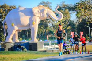 BIB: 
                            <button type="button" onclick="openModal(26183520)" class="btn btn-primary btn-sm float-right btn-popup" data-toggle="modal" data-target=".modal-high-quality">
                        <i class="fas fa-shopping-cart"></i> Add to Cart
                    </button>
                                            <button type="button" onclick="isThisMe(26183520, true)" class="btn btn-success btn-sm float-right btn-popup btn-isme hidden" data-toggle="tooltip" data-placement="bottom" title="นี่คือรูปของคุณใช่ไหม คลิกที่นี่เพื่อเอาเข้าอัลบั้ม">
                        <i class="fas fa-plus"></i> Add to album
                    </button>
                    <button type="button" onclick="isThisMe(26183520, false)" class="btn btn-warning btn-sm float-right btn-popup btn-isnotme hidden">
                        <i class="fas fa-ban"></i> Remove from album
                    </button>