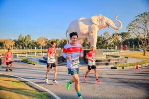 BIB: 
                            <button type="button" onclick="openModal(26186593)" class="btn btn-primary btn-sm float-right btn-popup" data-toggle="modal" data-target=".modal-high-quality">
                        <i class="fas fa-shopping-cart"></i> Add to Cart
                    </button>
                                            <button type="button" onclick="isThisMe(26186593, true)" class="btn btn-success btn-sm float-right btn-popup btn-isme hidden" data-toggle="tooltip" data-placement="bottom" title="นี่คือรูปของคุณใช่ไหม คลิกที่นี่เพื่อเอาเข้าอัลบั้ม">
                        <i class="fas fa-plus"></i> Add to album
                    </button>
                    <button type="button" onclick="isThisMe(26186593, false)" class="btn btn-warning btn-sm float-right btn-popup btn-isnotme hidden">
                        <i class="fas fa-ban"></i> Remove from album
                    </button>