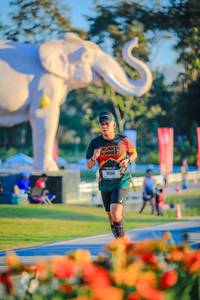 BIB: 
                            <button type="button" onclick="openModal(26183831)" class="btn btn-primary btn-sm float-right btn-popup" data-toggle="modal" data-target=".modal-high-quality">
                        <i class="fas fa-shopping-cart"></i> Add to Cart
                    </button>
                                            <button type="button" onclick="isThisMe(26183831, true)" class="btn btn-success btn-sm float-right btn-popup btn-isme hidden" data-toggle="tooltip" data-placement="bottom" title="นี่คือรูปของคุณใช่ไหม คลิกที่นี่เพื่อเอาเข้าอัลบั้ม">
                        <i class="fas fa-plus"></i> Add to album
                    </button>
                    <button type="button" onclick="isThisMe(26183831, false)" class="btn btn-warning btn-sm float-right btn-popup btn-isnotme hidden">
                        <i class="fas fa-ban"></i> Remove from album
                    </button>