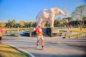 BIB: 
                            <button type="button" onclick="openModal(26186649)" class="btn btn-primary btn-sm float-right btn-popup" data-toggle="modal" data-target=".modal-high-quality">
                        <i class="fas fa-shopping-cart"></i> Add to Cart
                    </button>
                                            <button type="button" onclick="isThisMe(26186649, true)" class="btn btn-success btn-sm float-right btn-popup btn-isme hidden" data-toggle="tooltip" data-placement="bottom" title="นี่คือรูปของคุณใช่ไหม คลิกที่นี่เพื่อเอาเข้าอัลบั้ม">
                        <i class="fas fa-plus"></i> Add to album
                    </button>
                    <button type="button" onclick="isThisMe(26186649, false)" class="btn btn-warning btn-sm float-right btn-popup btn-isnotme hidden">
                        <i class="fas fa-ban"></i> Remove from album
                    </button>