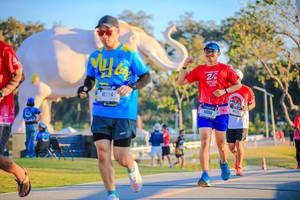 BIB: 
                            <button type="button" onclick="openModal(26183688)" class="btn btn-primary btn-sm float-right btn-popup" data-toggle="modal" data-target=".modal-high-quality">
                        <i class="fas fa-shopping-cart"></i> Add to Cart
                    </button>
                                            <button type="button" onclick="isThisMe(26183688, true)" class="btn btn-success btn-sm float-right btn-popup btn-isme hidden" data-toggle="tooltip" data-placement="bottom" title="นี่คือรูปของคุณใช่ไหม คลิกที่นี่เพื่อเอาเข้าอัลบั้ม">
                        <i class="fas fa-plus"></i> Add to album
                    </button>
                    <button type="button" onclick="isThisMe(26183688, false)" class="btn btn-warning btn-sm float-right btn-popup btn-isnotme hidden">
                        <i class="fas fa-ban"></i> Remove from album
                    </button>