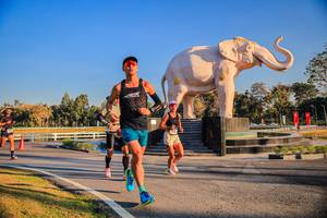 BIB: 
                            <button type="button" onclick="openModal(26186400)" class="btn btn-primary btn-sm float-right btn-popup" data-toggle="modal" data-target=".modal-high-quality">
                        <i class="fas fa-shopping-cart"></i> Add to Cart
                    </button>
                                            <button type="button" onclick="isThisMe(26186400, true)" class="btn btn-success btn-sm float-right btn-popup btn-isme hidden" data-toggle="tooltip" data-placement="bottom" title="นี่คือรูปของคุณใช่ไหม คลิกที่นี่เพื่อเอาเข้าอัลบั้ม">
                        <i class="fas fa-plus"></i> Add to album
                    </button>
                    <button type="button" onclick="isThisMe(26186400, false)" class="btn btn-warning btn-sm float-right btn-popup btn-isnotme hidden">
                        <i class="fas fa-ban"></i> Remove from album
                    </button>