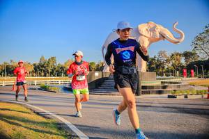 BIB: 
                            <button type="button" onclick="openModal(26186437)" class="btn btn-primary btn-sm float-right btn-popup" data-toggle="modal" data-target=".modal-high-quality">
                        <i class="fas fa-shopping-cart"></i> Add to Cart
                    </button>
                                            <button type="button" onclick="isThisMe(26186437, true)" class="btn btn-success btn-sm float-right btn-popup btn-isme hidden" data-toggle="tooltip" data-placement="bottom" title="นี่คือรูปของคุณใช่ไหม คลิกที่นี่เพื่อเอาเข้าอัลบั้ม">
                        <i class="fas fa-plus"></i> Add to album
                    </button>
                    <button type="button" onclick="isThisMe(26186437, false)" class="btn btn-warning btn-sm float-right btn-popup btn-isnotme hidden">
                        <i class="fas fa-ban"></i> Remove from album
                    </button>