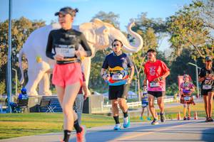 BIB: 
                            <button type="button" onclick="openModal(26183707)" class="btn btn-primary btn-sm float-right btn-popup" data-toggle="modal" data-target=".modal-high-quality">
                        <i class="fas fa-shopping-cart"></i> Add to Cart
                    </button>
                                            <button type="button" onclick="isThisMe(26183707, true)" class="btn btn-success btn-sm float-right btn-popup btn-isme hidden" data-toggle="tooltip" data-placement="bottom" title="นี่คือรูปของคุณใช่ไหม คลิกที่นี่เพื่อเอาเข้าอัลบั้ม">
                        <i class="fas fa-plus"></i> Add to album
                    </button>
                    <button type="button" onclick="isThisMe(26183707, false)" class="btn btn-warning btn-sm float-right btn-popup btn-isnotme hidden">
                        <i class="fas fa-ban"></i> Remove from album
                    </button>