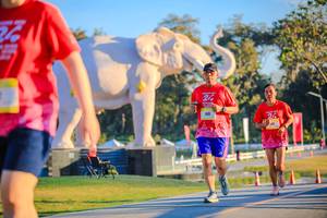 BIB: 
                            <button type="button" onclick="openModal(26183531)" class="btn btn-primary btn-sm float-right btn-popup" data-toggle="modal" data-target=".modal-high-quality">
                        <i class="fas fa-shopping-cart"></i> Add to Cart
                    </button>
                                            <button type="button" onclick="isThisMe(26183531, true)" class="btn btn-success btn-sm float-right btn-popup btn-isme hidden" data-toggle="tooltip" data-placement="bottom" title="นี่คือรูปของคุณใช่ไหม คลิกที่นี่เพื่อเอาเข้าอัลบั้ม">
                        <i class="fas fa-plus"></i> Add to album
                    </button>
                    <button type="button" onclick="isThisMe(26183531, false)" class="btn btn-warning btn-sm float-right btn-popup btn-isnotme hidden">
                        <i class="fas fa-ban"></i> Remove from album
                    </button>