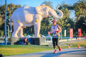 BIB: 
                            <button type="button" onclick="openModal(26183543)" class="btn btn-primary btn-sm float-right btn-popup" data-toggle="modal" data-target=".modal-high-quality">
                        <i class="fas fa-shopping-cart"></i> Add to Cart
                    </button>
                                            <button type="button" onclick="isThisMe(26183543, true)" class="btn btn-success btn-sm float-right btn-popup btn-isme hidden" data-toggle="tooltip" data-placement="bottom" title="นี่คือรูปของคุณใช่ไหม คลิกที่นี่เพื่อเอาเข้าอัลบั้ม">
                        <i class="fas fa-plus"></i> Add to album
                    </button>
                    <button type="button" onclick="isThisMe(26183543, false)" class="btn btn-warning btn-sm float-right btn-popup btn-isnotme hidden">
                        <i class="fas fa-ban"></i> Remove from album
                    </button>