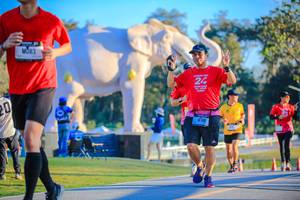 BIB: 
                            <button type="button" onclick="openModal(26183673)" class="btn btn-primary btn-sm float-right btn-popup" data-toggle="modal" data-target=".modal-high-quality">
                        <i class="fas fa-shopping-cart"></i> Add to Cart
                    </button>
                                            <button type="button" onclick="isThisMe(26183673, true)" class="btn btn-success btn-sm float-right btn-popup btn-isme hidden" data-toggle="tooltip" data-placement="bottom" title="นี่คือรูปของคุณใช่ไหม คลิกที่นี่เพื่อเอาเข้าอัลบั้ม">
                        <i class="fas fa-plus"></i> Add to album
                    </button>
                    <button type="button" onclick="isThisMe(26183673, false)" class="btn btn-warning btn-sm float-right btn-popup btn-isnotme hidden">
                        <i class="fas fa-ban"></i> Remove from album
                    </button>