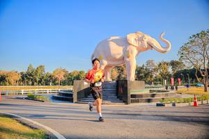 BIB: 
                            <button type="button" onclick="openModal(26186446)" class="btn btn-primary btn-sm float-right btn-popup" data-toggle="modal" data-target=".modal-high-quality">
                        <i class="fas fa-shopping-cart"></i> Add to Cart
                    </button>
                                            <button type="button" onclick="isThisMe(26186446, true)" class="btn btn-success btn-sm float-right btn-popup btn-isme hidden" data-toggle="tooltip" data-placement="bottom" title="นี่คือรูปของคุณใช่ไหม คลิกที่นี่เพื่อเอาเข้าอัลบั้ม">
                        <i class="fas fa-plus"></i> Add to album
                    </button>
                    <button type="button" onclick="isThisMe(26186446, false)" class="btn btn-warning btn-sm float-right btn-popup btn-isnotme hidden">
                        <i class="fas fa-ban"></i> Remove from album
                    </button>