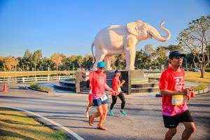 BIB: 
                            <button type="button" onclick="openModal(26186600)" class="btn btn-primary btn-sm float-right btn-popup" data-toggle="modal" data-target=".modal-high-quality">
                        <i class="fas fa-shopping-cart"></i> Add to Cart
                    </button>
                                            <button type="button" onclick="isThisMe(26186600, true)" class="btn btn-success btn-sm float-right btn-popup btn-isme hidden" data-toggle="tooltip" data-placement="bottom" title="นี่คือรูปของคุณใช่ไหม คลิกที่นี่เพื่อเอาเข้าอัลบั้ม">
                        <i class="fas fa-plus"></i> Add to album
                    </button>
                    <button type="button" onclick="isThisMe(26186600, false)" class="btn btn-warning btn-sm float-right btn-popup btn-isnotme hidden">
                        <i class="fas fa-ban"></i> Remove from album
                    </button>