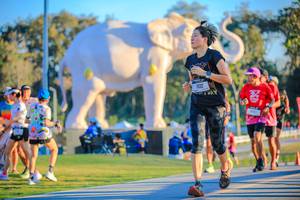 BIB: 
                            <button type="button" onclick="openModal(26183643)" class="btn btn-primary btn-sm float-right btn-popup" data-toggle="modal" data-target=".modal-high-quality">
                        <i class="fas fa-shopping-cart"></i> Add to Cart
                    </button>
                                            <button type="button" onclick="isThisMe(26183643, true)" class="btn btn-success btn-sm float-right btn-popup btn-isme hidden" data-toggle="tooltip" data-placement="bottom" title="นี่คือรูปของคุณใช่ไหม คลิกที่นี่เพื่อเอาเข้าอัลบั้ม">
                        <i class="fas fa-plus"></i> Add to album
                    </button>
                    <button type="button" onclick="isThisMe(26183643, false)" class="btn btn-warning btn-sm float-right btn-popup btn-isnotme hidden">
                        <i class="fas fa-ban"></i> Remove from album
                    </button>