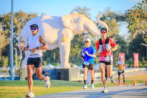 BIB: 
                            <button type="button" onclick="openModal(26183454)" class="btn btn-primary btn-sm float-right btn-popup" data-toggle="modal" data-target=".modal-high-quality">
                        <i class="fas fa-shopping-cart"></i> Add to Cart
                    </button>
                                            <button type="button" onclick="isThisMe(26183454, true)" class="btn btn-success btn-sm float-right btn-popup btn-isme hidden" data-toggle="tooltip" data-placement="bottom" title="นี่คือรูปของคุณใช่ไหม คลิกที่นี่เพื่อเอาเข้าอัลบั้ม">
                        <i class="fas fa-plus"></i> Add to album
                    </button>
                    <button type="button" onclick="isThisMe(26183454, false)" class="btn btn-warning btn-sm float-right btn-popup btn-isnotme hidden">
                        <i class="fas fa-ban"></i> Remove from album
                    </button>