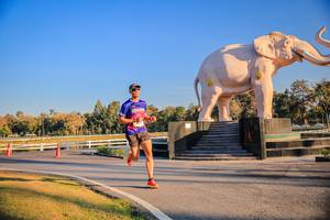 BIB: 
                            <button type="button" onclick="openModal(26186386)" class="btn btn-primary btn-sm float-right btn-popup" data-toggle="modal" data-target=".modal-high-quality">
                        <i class="fas fa-shopping-cart"></i> Add to Cart
                    </button>
                                            <button type="button" onclick="isThisMe(26186386, true)" class="btn btn-success btn-sm float-right btn-popup btn-isme hidden" data-toggle="tooltip" data-placement="bottom" title="นี่คือรูปของคุณใช่ไหม คลิกที่นี่เพื่อเอาเข้าอัลบั้ม">
                        <i class="fas fa-plus"></i> Add to album
                    </button>
                    <button type="button" onclick="isThisMe(26186386, false)" class="btn btn-warning btn-sm float-right btn-popup btn-isnotme hidden">
                        <i class="fas fa-ban"></i> Remove from album
                    </button>