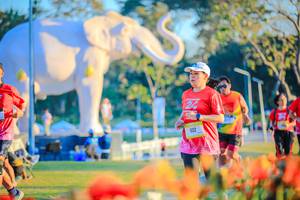 BIB: 
                            <button type="button" onclick="openModal(26183966)" class="btn btn-primary btn-sm float-right btn-popup" data-toggle="modal" data-target=".modal-high-quality">
                        <i class="fas fa-shopping-cart"></i> Add to Cart
                    </button>
                                            <button type="button" onclick="isThisMe(26183966, true)" class="btn btn-success btn-sm float-right btn-popup btn-isme hidden" data-toggle="tooltip" data-placement="bottom" title="นี่คือรูปของคุณใช่ไหม คลิกที่นี่เพื่อเอาเข้าอัลบั้ม">
                        <i class="fas fa-plus"></i> Add to album
                    </button>
                    <button type="button" onclick="isThisMe(26183966, false)" class="btn btn-warning btn-sm float-right btn-popup btn-isnotme hidden">
                        <i class="fas fa-ban"></i> Remove from album
                    </button>