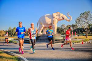 BIB: 
                            <button type="button" onclick="openModal(26186482)" class="btn btn-primary btn-sm float-right btn-popup" data-toggle="modal" data-target=".modal-high-quality">
                        <i class="fas fa-shopping-cart"></i> Add to Cart
                    </button>
                                            <button type="button" onclick="isThisMe(26186482, true)" class="btn btn-success btn-sm float-right btn-popup btn-isme hidden" data-toggle="tooltip" data-placement="bottom" title="นี่คือรูปของคุณใช่ไหม คลิกที่นี่เพื่อเอาเข้าอัลบั้ม">
                        <i class="fas fa-plus"></i> Add to album
                    </button>
                    <button type="button" onclick="isThisMe(26186482, false)" class="btn btn-warning btn-sm float-right btn-popup btn-isnotme hidden">
                        <i class="fas fa-ban"></i> Remove from album
                    </button>