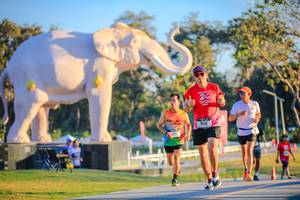 BIB: 
                            <button type="button" onclick="openModal(26183594)" class="btn btn-primary btn-sm float-right btn-popup" data-toggle="modal" data-target=".modal-high-quality">
                        <i class="fas fa-shopping-cart"></i> Add to Cart
                    </button>
                                            <button type="button" onclick="isThisMe(26183594, true)" class="btn btn-success btn-sm float-right btn-popup btn-isme hidden" data-toggle="tooltip" data-placement="bottom" title="นี่คือรูปของคุณใช่ไหม คลิกที่นี่เพื่อเอาเข้าอัลบั้ม">
                        <i class="fas fa-plus"></i> Add to album
                    </button>
                    <button type="button" onclick="isThisMe(26183594, false)" class="btn btn-warning btn-sm float-right btn-popup btn-isnotme hidden">
                        <i class="fas fa-ban"></i> Remove from album
                    </button>