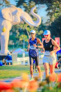 BIB: 
                            <button type="button" onclick="openModal(26183886)" class="btn btn-primary btn-sm float-right btn-popup" data-toggle="modal" data-target=".modal-high-quality">
                        <i class="fas fa-shopping-cart"></i> Add to Cart
                    </button>
                                            <button type="button" onclick="isThisMe(26183886, true)" class="btn btn-success btn-sm float-right btn-popup btn-isme hidden" data-toggle="tooltip" data-placement="bottom" title="นี่คือรูปของคุณใช่ไหม คลิกที่นี่เพื่อเอาเข้าอัลบั้ม">
                        <i class="fas fa-plus"></i> Add to album
                    </button>
                    <button type="button" onclick="isThisMe(26183886, false)" class="btn btn-warning btn-sm float-right btn-popup btn-isnotme hidden">
                        <i class="fas fa-ban"></i> Remove from album
                    </button>